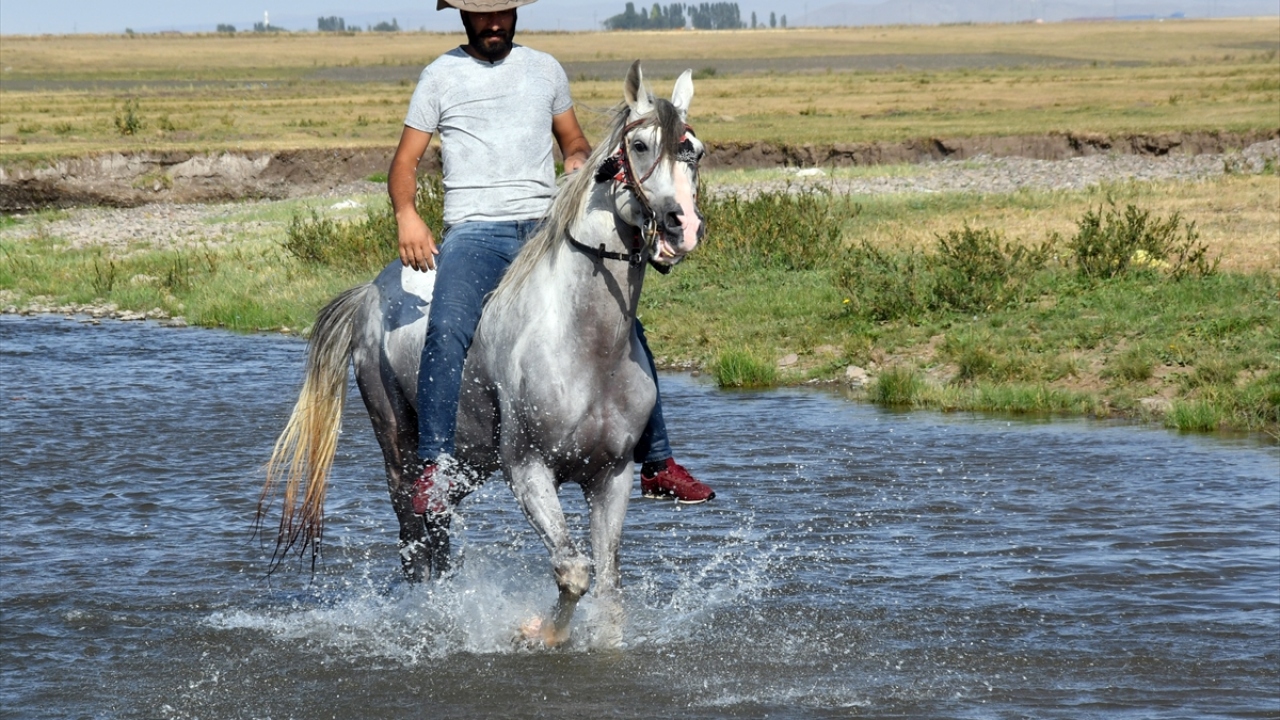Atlarını bu sularda yıkayarak hem temizlenmelerini hem de serinlemelerini sağlayan cirit tutkunları, atlara kışın yapılacak cirit müsabakalarına hazır olmaları amacıyla hem suda hem de otlaklarda yürüyüş ve kısa koşular yaptırıyor.