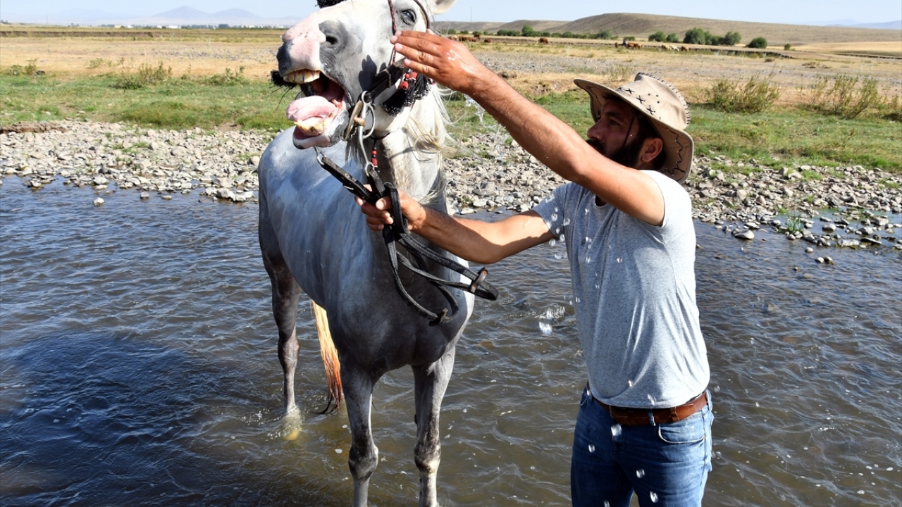 Cirit dışında kullanılmayan ve performansları düşmesin diye yük de taşıtılmayan cirit atlarına gözü gibi bakan cirit tutkunları, cirit maçlarının yoğunlaşacağı kış mevsimini bekliyor.