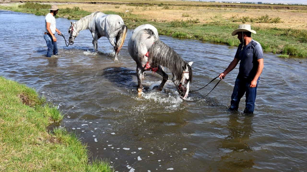 "Atlarımızı kışa hazırlıyoruz"