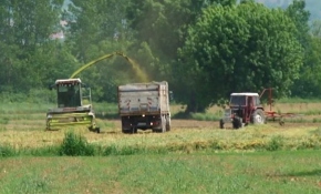 Sakaryalı besicilerin kış hazırlığı başladı
