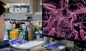 İnsan beyninin sırları mikro-robot ile keşfedilecek