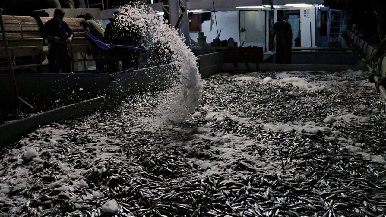 Saat 04.00 sıralarında "Vira bismillah" diyerek ağlarını toplayan balıkçılar, kasa kasa istavrit avladı.