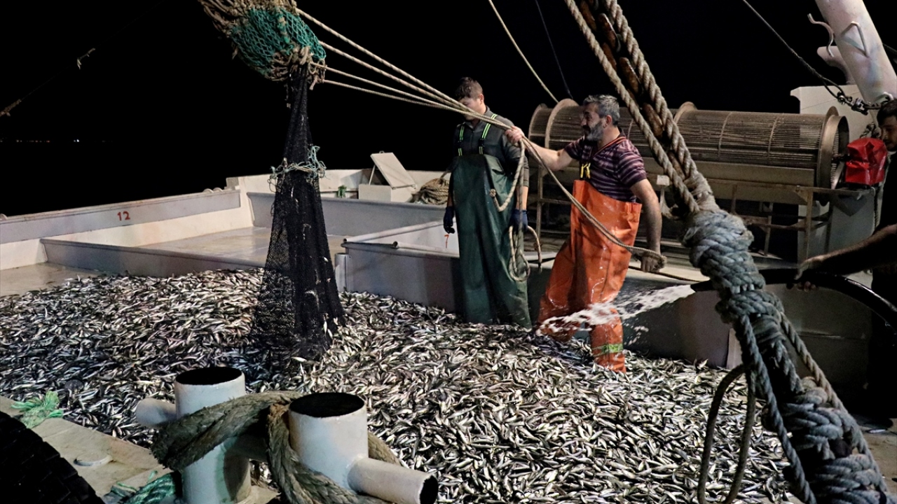 Sezonun ilk gününde istavrit avladıklarını söyleyen Tural, "Vira bismillah diyerek ağlarımızı attık. İlk ağı 1 saat sonra çektik. 120 kasa istavrit aldık. Bereketli olsun. İlk ağdan bol balık geldi" dedi.