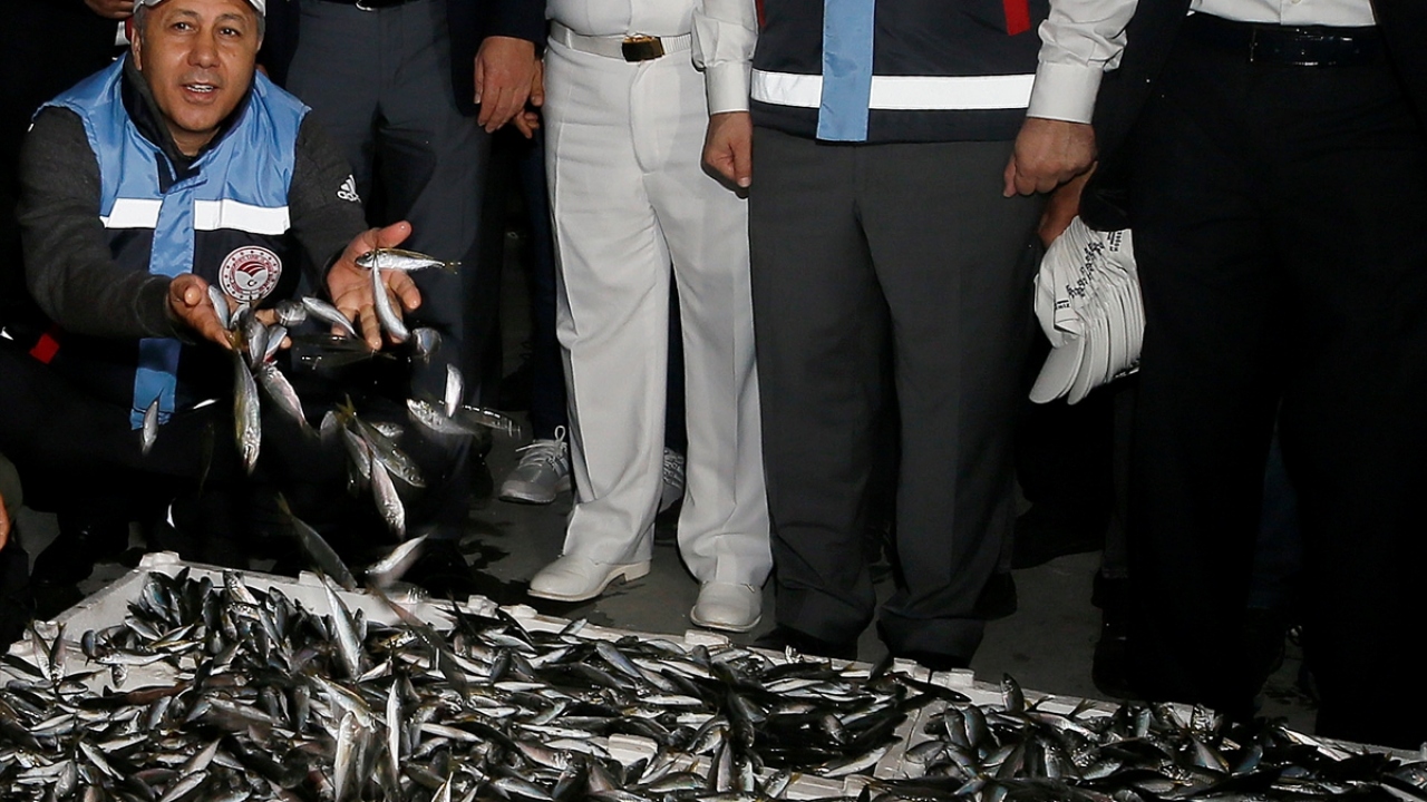 İstanbul Valisi Ali Yerlikaya da denizlerde av yasağının sona ermesiyle dün gece denize açılan balıkçı teknelerini karşıladı.