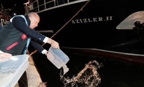 Cumhurbaşkanı Erdoğan, balık avı sezonunun açılışını yaptı