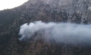 Afyonkarahisar'da orman yangını