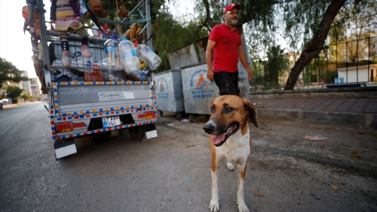 Çevresinde gururu ve yardımseverliğiyle tanınan 3 çocuk babası Çevik, "Düldül" adını verdiği sepetli motosikleti ve sokakta bulup sahiplendiği "Garip" adlı köpeğiyle çöp konteynerlerinden karton topluyor.