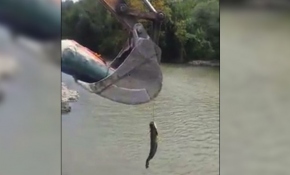 Balığı oltayla çekemedi, kepçe kiraladı