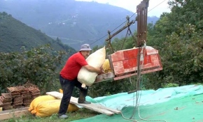 Ordu'da bir çiftçi karşı ilçedeki bahçesine ulaşımı teleferikle sağlıyor