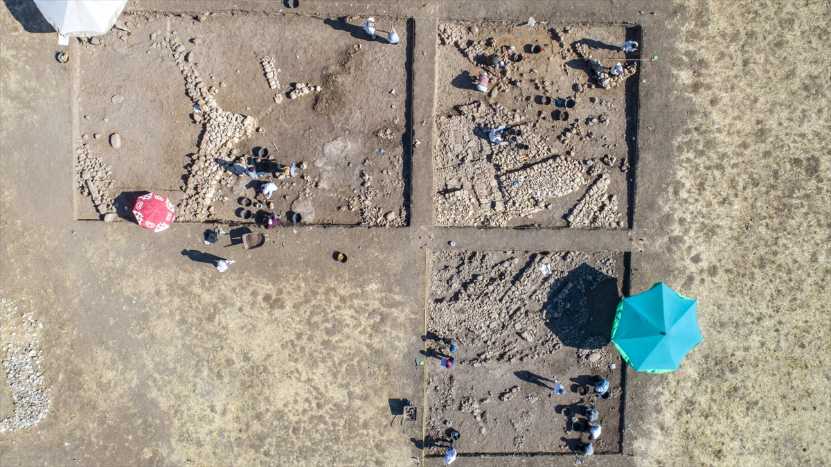 1964 yılında başlatılan, 1991 yılında güvenlik nedeniyle ara verilen ve 24 yıl aranın ardından 4 yıl önce yeniden başlanan arkeolojik kazılar bu yıl 29 kişilik ekiple yürütülüyor.