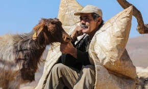 Besicilerin yaylalarda son günleri