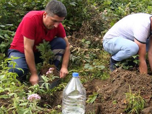Halk Sağlığı Haftası'nda sağlıkçılardan anlamlı etkinlik