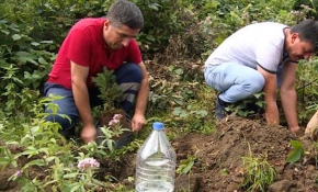 Halk Sağlığı Haftası'nda sağlıkçılardan anlamlı etkinlik