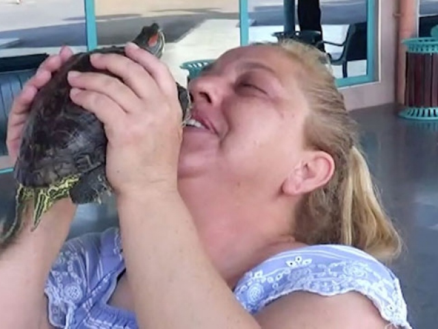 Yolculukta kaybettiği kaplumbağasına 4 gün sonra kavuştu