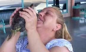 Yolculukta kaybettiği kaplumbağasına 4 gün sonra kavuştu