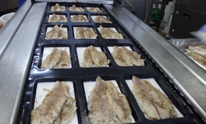 Denizi olmayan kentten 80 ülkeye balık ihracatı