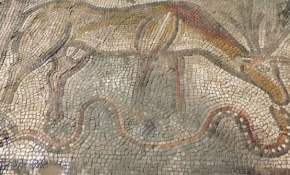Adıyaman'da bin 500 yıllık mozaik bulundu