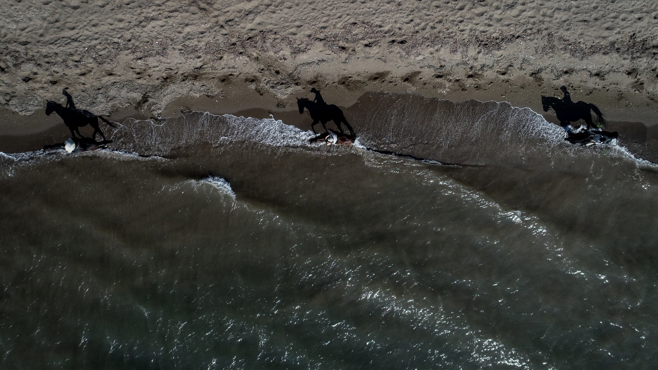 Yurt dışındaki at ırklarına bağımlılığı azaltmak için 1999 yılında yürürlüğe konulan proje kapsamında, Türkiye`de yüksek nitelikli ve milli at ırkı oluşturmak amacıyla 2001`de Gemlik ırkı at üretimine başlandı.