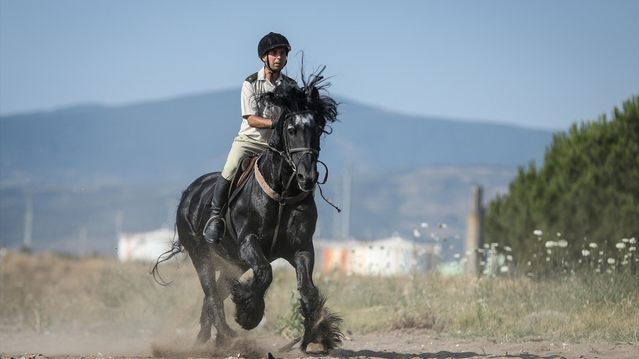 Bu merkezde yetiştirilen atların, 2002 yılından bu yana, Türk Patent ve Marka Kurumunca verilen "Coğrafi İşaret Tescil Belgesi" de bulunuyor.