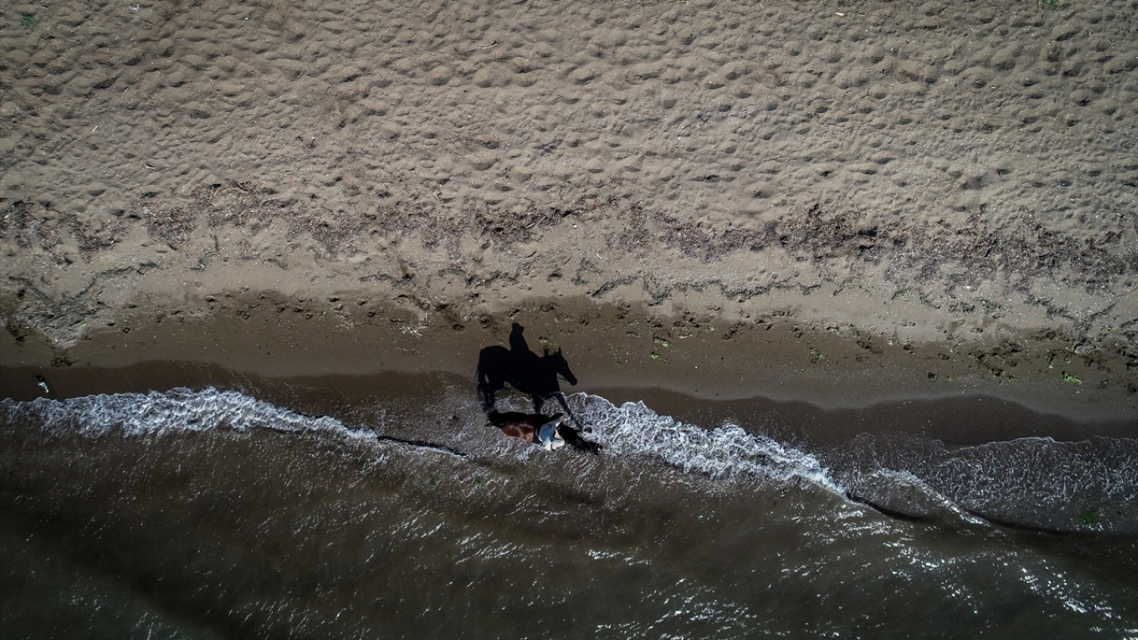 "At terbiyesi" yarışmalarına katılıyorlar