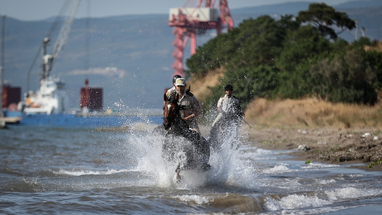 Daha sonra Cumhurbaşkanlığı Külliyesi`ndeki atlı tören kıtasının aralarında olduğu ilgili birliklere nakledilen atlar, Külliye`de konuk devlet başkanlarının karşılanmasında, A tipi resmi törenlerde görevli Kara Kuvvetleri Süvari Birliğince kullanılıyor.