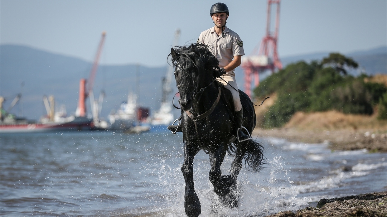 TSK`nin "heybetli yüzü" olan, yurt içi ve dışında at terbiyesi yarışmalarına da katılan Gemlik ırkı atlardan, 18 yılda 244 birey yetiştirildi.