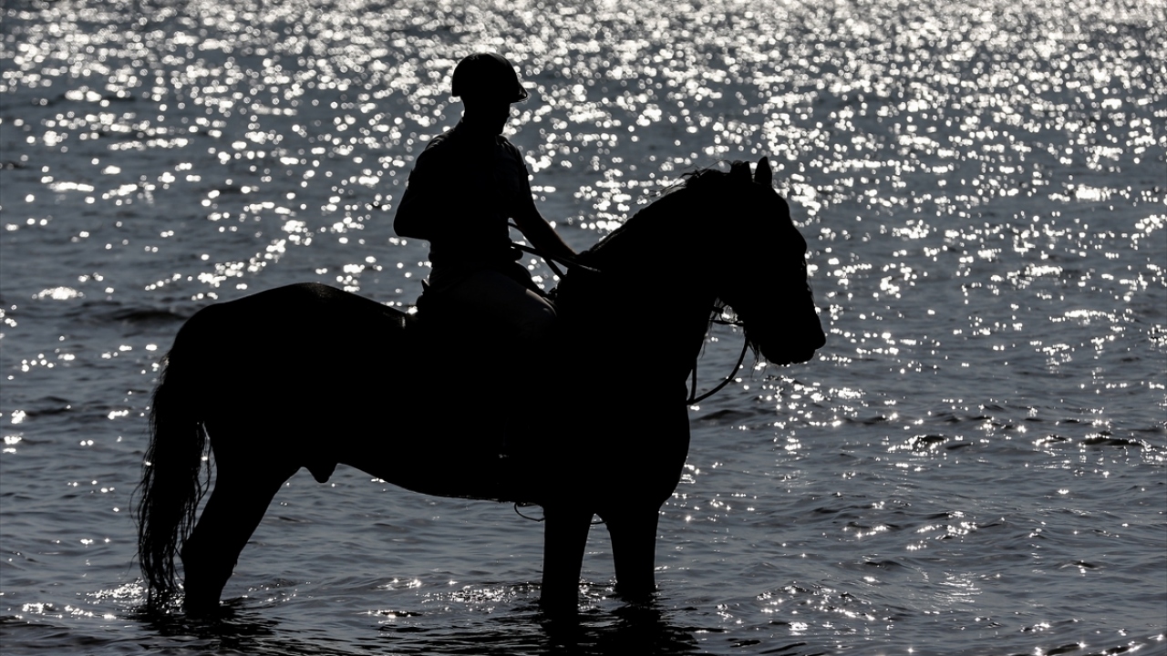 Ayrıca merkezde, "Friesian" ırkı atlar da aynı titizlikle yetiştirilip ihtiyaca göre birliklere teslim ediliyor.