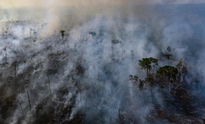 Bolivya’daki yangınlarda sabotaj şüphesi