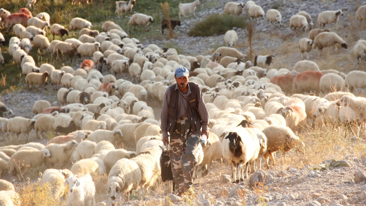 "Yayla yaşamı zor ve yorucu geçiyor" 