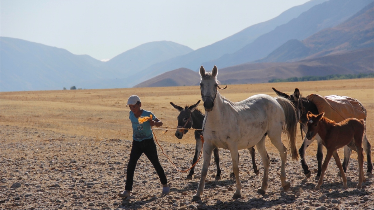Ramazan Karavar da çobanlık yapmak için Şanlıurfa`nın Siverek ilçesinden Ovacık`a geldiğini anlattı.