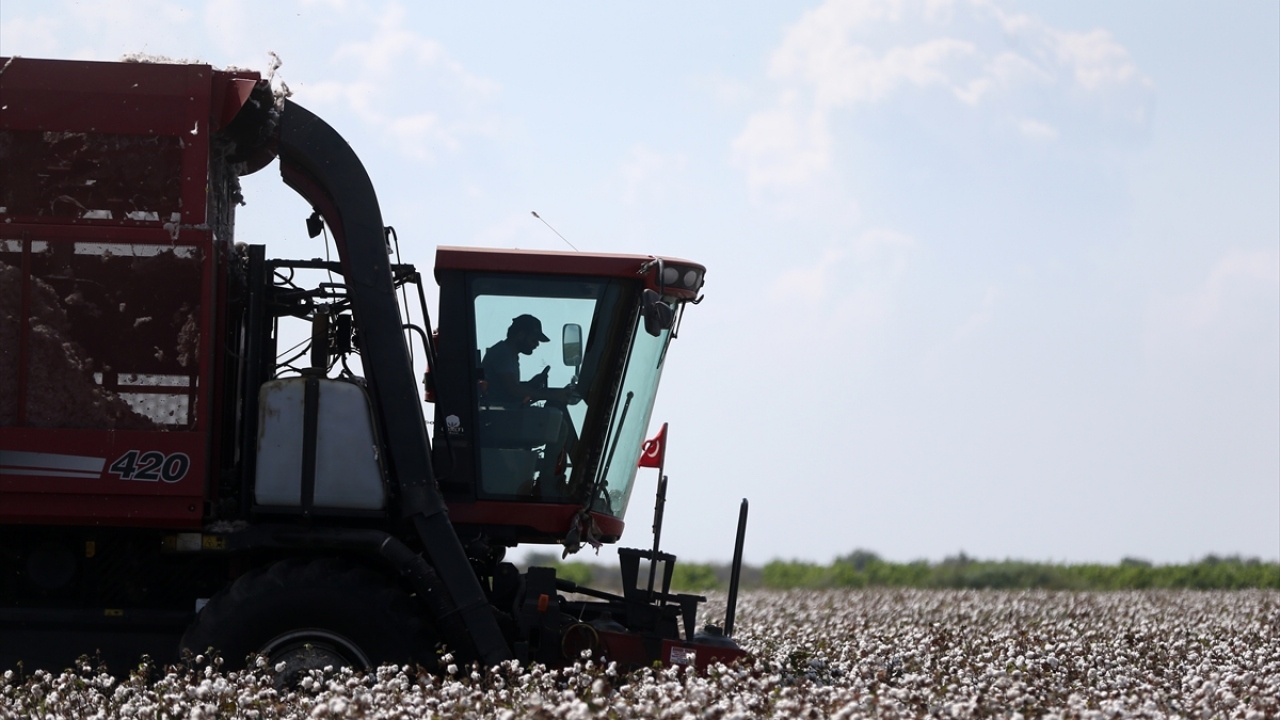 Yüreğir Ziraat Odası Başkanı Mehmet Akın Doğan, uçsuz bucaksız bereketli topraklarıyla Çukurova denilince akla ilk gelen ürünün pamuk olduğunu söyledi.