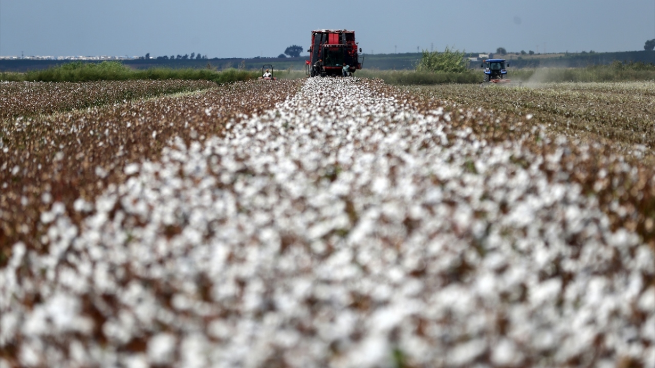 Çiftçi Hasan Aslan da destekleme primlerinin artırılmasını talep ettiklerini kaydetti.