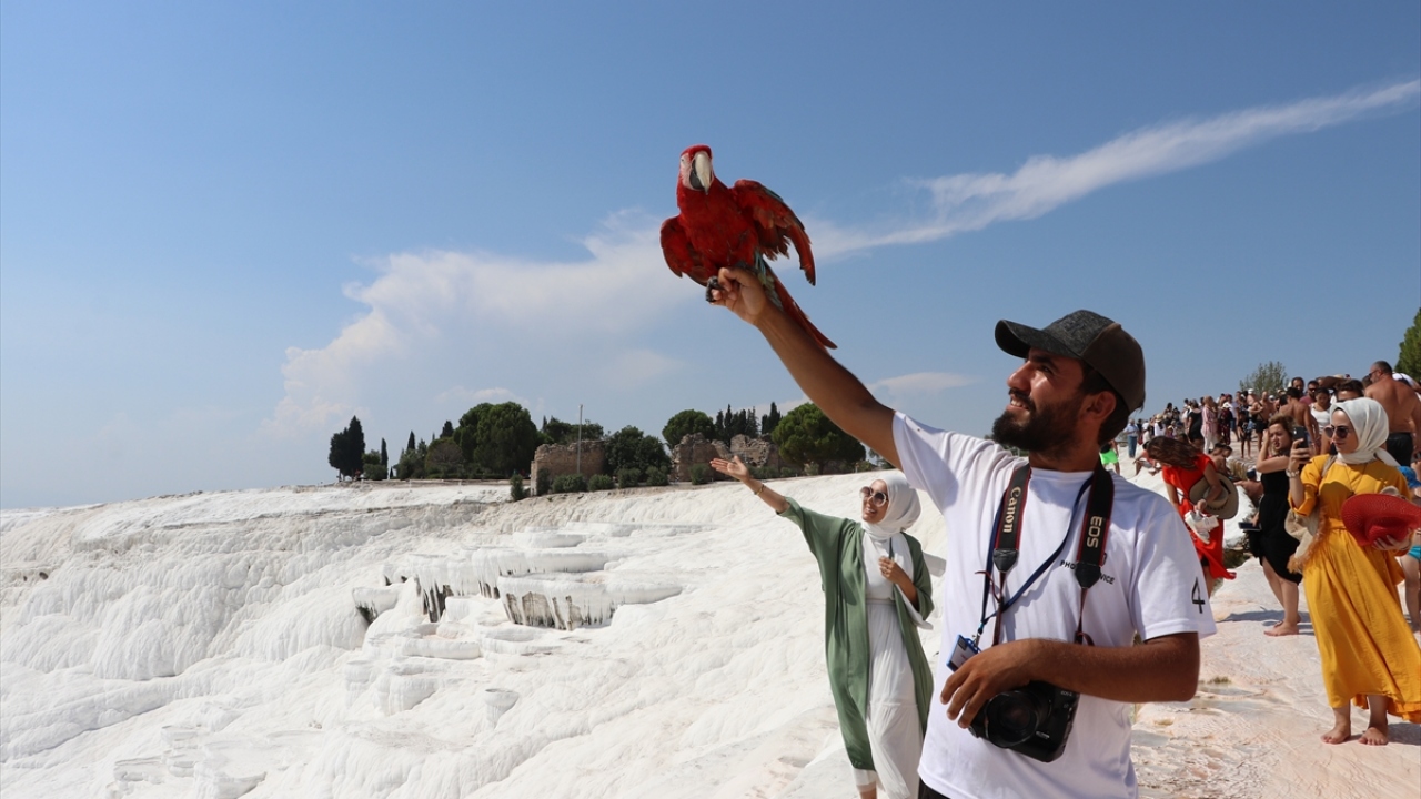 "Kleopatra Havuzu" olarak da bilinen antik havuz, antik tiyatro, Cehennem Kapısı, Hz. İsa`nın 12 havarisinden Aziz Filupus`un mezarı ve diğer tarihi zenginlikleriyle ilgi odağı olan Pamukkale, bu yıl ziyaretçi sayısında rekora koşuyor.