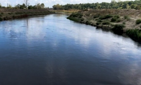 Çorlu Deresi'nden siyah su akıyor
