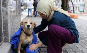Yağmurda ıslanan köpeği kıyafetiyle kuruladı