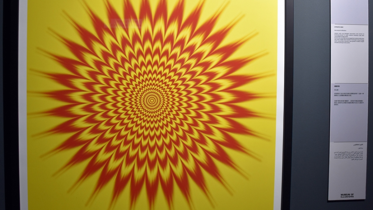 Özel bölümlerden "girdap tüneli" ise ziyaretçiler tarafından müzenin en zorlu yeri olarak tarif ediliyor.