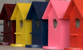 Kuşların yuvası mobilya ustasının ellerinden çıkıyor