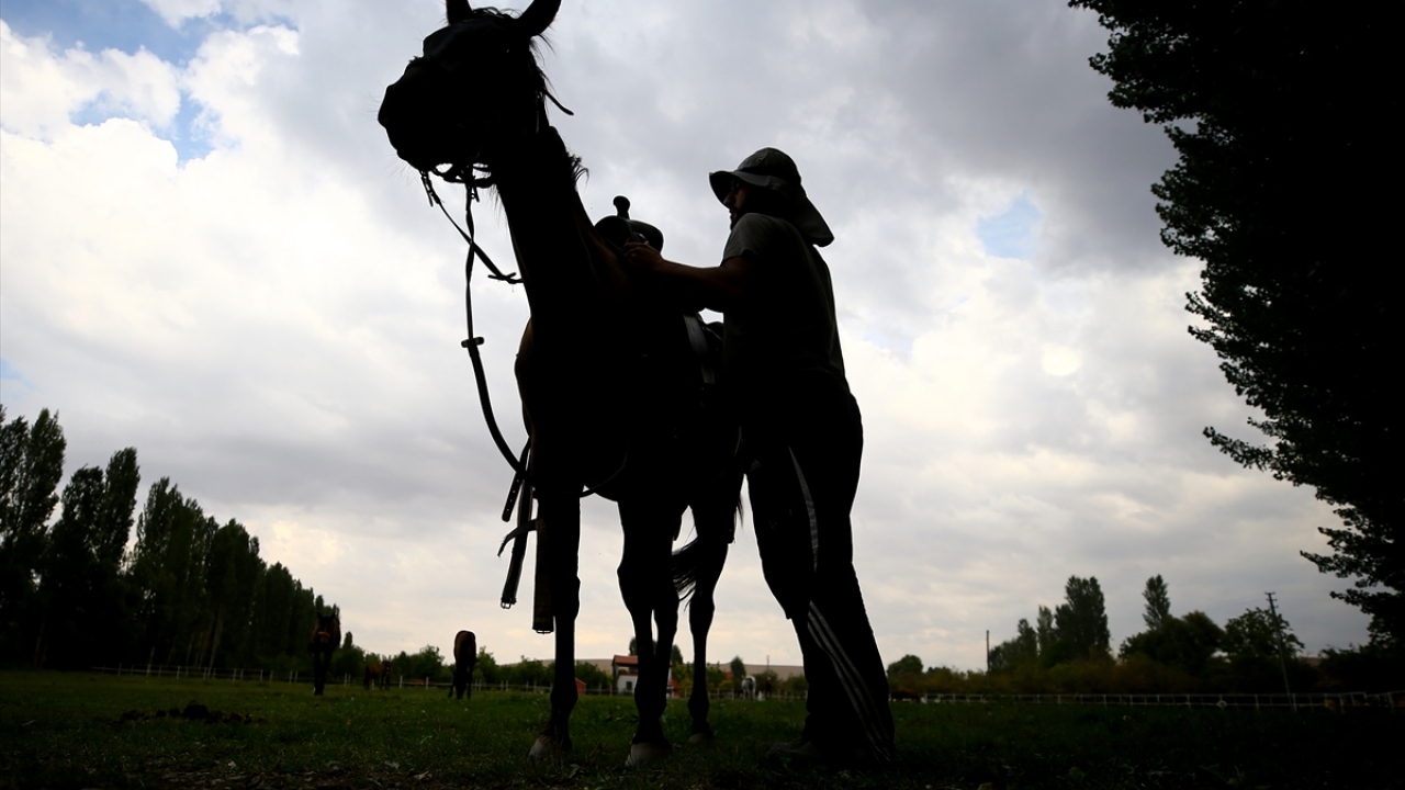 Ereğli`de yetişen tayların, son yıllarda gerçekleştirilen bazı yarışları kazanması da ilçenin adının, at ve yarışseverler tarafından bilinmesini sağladı. 