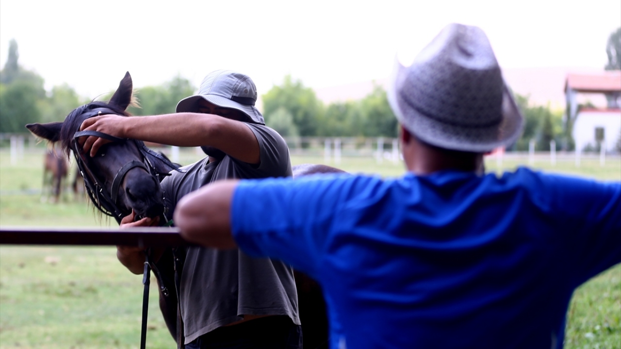 Atların günlük bakımlarını titizlikle yaptıklarını anlatan Özsarı, yonca, yulaf ve protein değeri yüksek besinleri tercih ettiklerini söyledi.