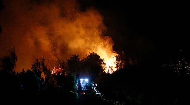 Hatay'da orman yangını