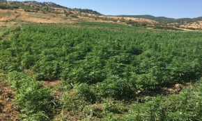 Diyarbakır'da terör örgütünün finans kaynağına büyük darbe