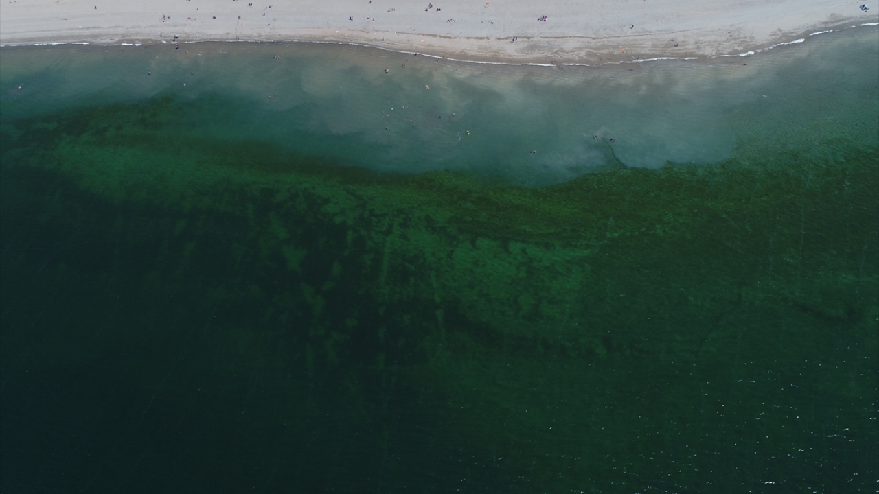 Futbol ve voleybol turnuvaları, yelken ve bot yarışları ile su kızağı, kano, su sporları ve eğlenceleri gibi etkinlikler düzenlenen plajlar, festivallere de ev sahipliği yapıyor. 