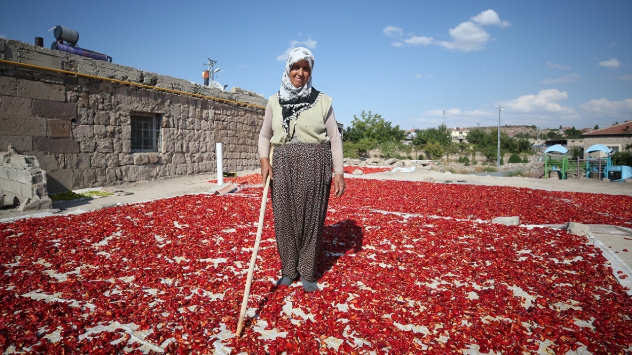 Kurumaya bırakılan biberler, mahalledeki değirmenlerde öğütülerek toz ve pul bibere dönüştürüldükten sonra hem pastırma ve sucukta kullanılıyor hem de sofralara lezzet katıyor.