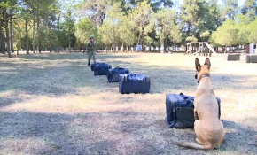 Mehmetçiğin sadık dostları her an göreve hazır