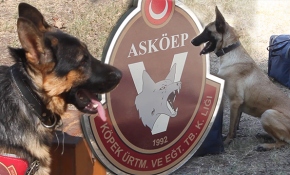 Türk Silahlı Kuvvetlerinin her an göreve hazır sevimli dostları