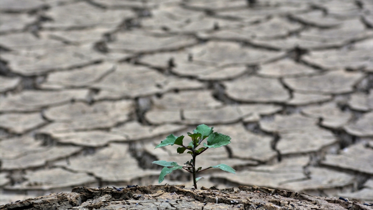 Barajın faaliyete girmesiyle sular altında kalan ve 17`nci yüzyılın son çeyreğinde yapıldığı tahmin edilen Torul Köprüsü ile bir ev, su seviyesinin düşmesi ve mevcut suyun elektrik üretimi için tutulmasının ardından gün yüzüne çıktı.