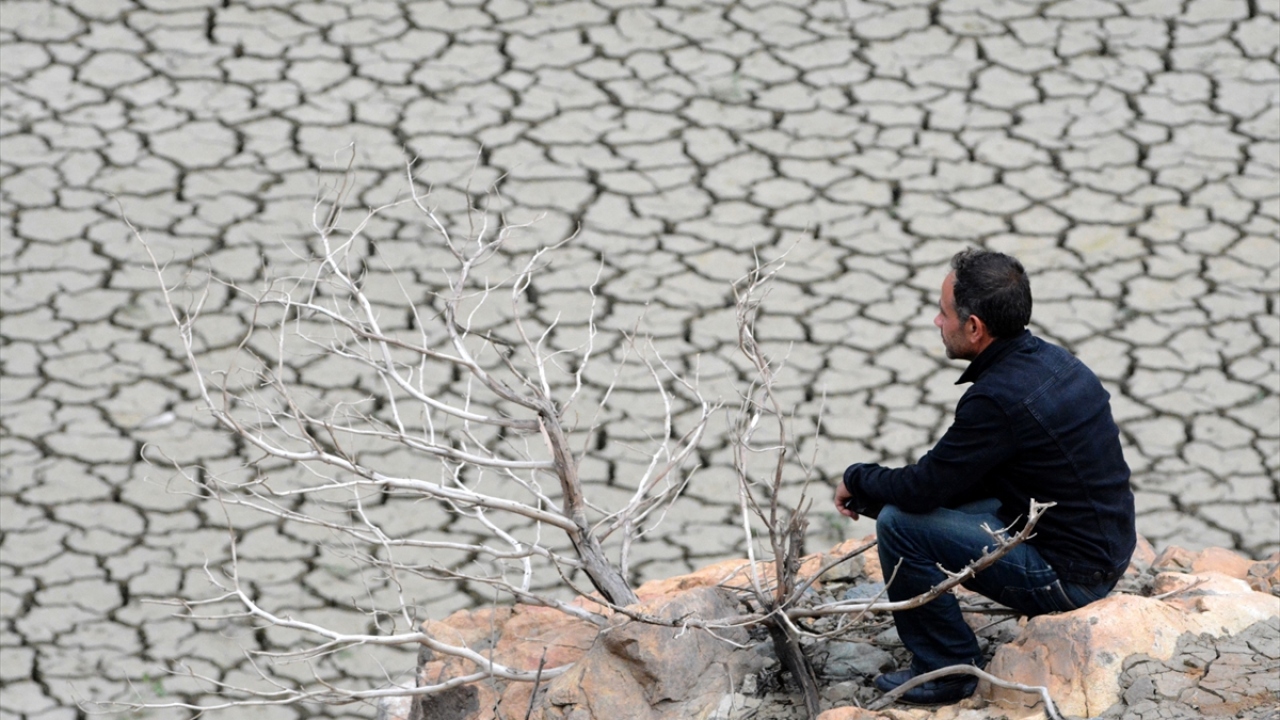 Alanı ziyaret eden yöre sakinlerinden araştırmacı-tarihçi Serhat Doğan, yaptığı açıklamada, Torul ilçesinin eski dönemlerde Ardasa olarak anıldığını söyledi.