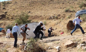 Verimli bal sezonu için şükür duasında arılar saldırdı