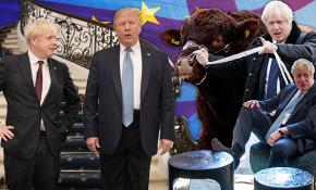 İngiltere Başbakanı Johnson’dan Brexit’i gölgeleyen renkli görüntüler