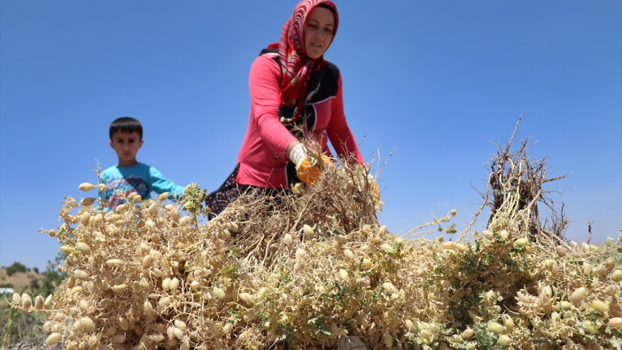 Talepte yüzde 100 yüz artış